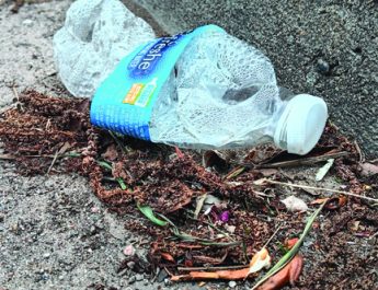 Great American Cleanup: Does Litter Exist If You Don’t See It