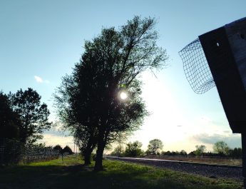 Explore Far Or Near This Summer